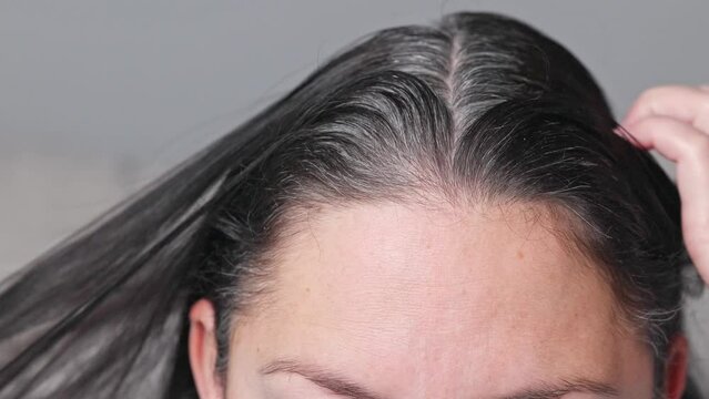 Women are looking to the gray hair. Parting of black women's hair with grey roots. close up