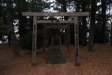 Fototapeta premium 大淀ふれあいキャンプ場