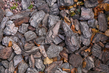 tree bark for mulching. The decor has a textured background. close-up