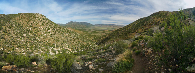 A panoramic view of a desert landscape with a mountain in the background