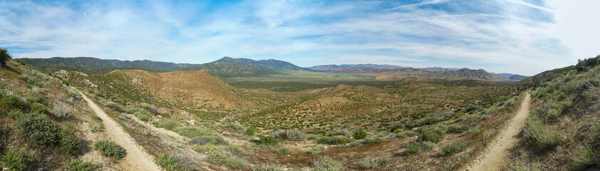 A panoramic view of a desert landscape with a dirt road running through it