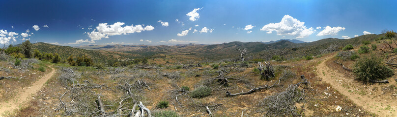 A panoramic view of a desert landscape with a few trees scattered around