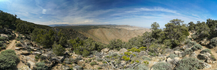 A panoramic view of a desert with trees and rocks