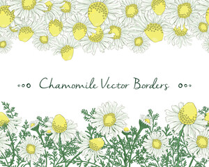 two seamless chamomiles borders, floral vector  borders for design of greeting , invitation, banners, white and yellow vector florets