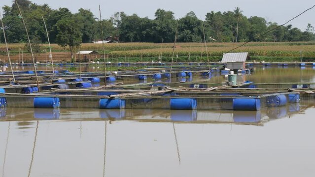 floating net cages on Lake. This cage is used for fish farming.