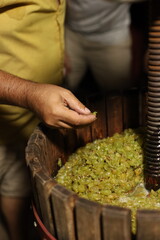 a winemaker processes grapes to create wine juice