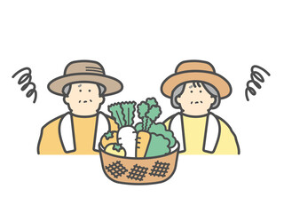 農家で働く不安な高齢夫婦　野菜　収穫