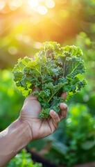 Hand holding fresh kale with blurred background, ideal kale selection for text placement