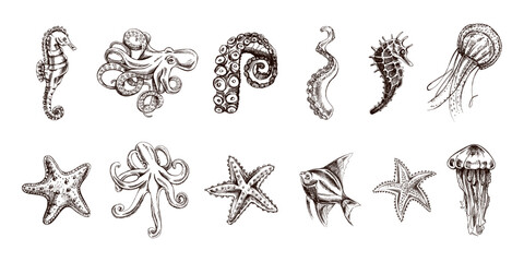 Octopus, fish, starfish, seahorses, jellyfish set. Hand drawn sketch illustration. Collection of realistic sketches of various ocean creatures isolated on white background.