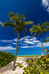 Egzotyka, piękne miejsce, piaszczysta plaża i niebieskie niebo, widok na ocean, wyspa Kuba, tapeta - obrazy, fototapety, plakaty