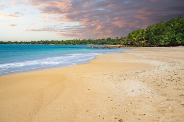 Deserted wide sandy beach with turquoise blue sea. Tropical plants of a bay at sunset in the Caribbean. Plage de Cluny, Basse Terre, Guadeloupe, French Antilles,
