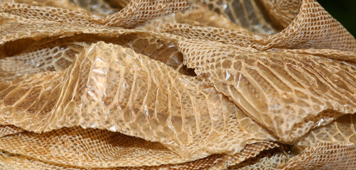 dry snake skin after molting with scales of many geometric figures