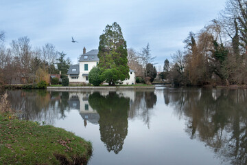 Take your time to get a reflection