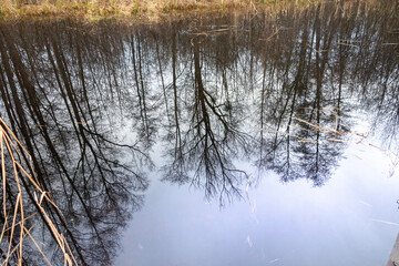 Winter lake, winter tree, winter landscape there