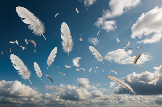 Abstract White Bird Feathers Falling in The Sky.