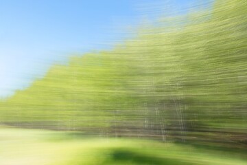 Intentional camera movement (ICM) of forest trees in sunny spring weather, Päijänne, Finland.