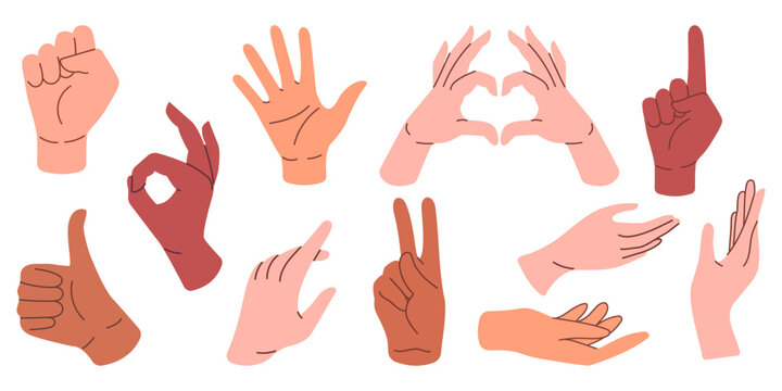 Set of various gestures of human hands isolated on a white background. Vector different man woman hands showing peace sign, heart, thumb up.