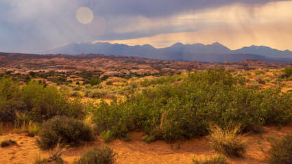 A desert landscape with a few bushes and mountains in the background