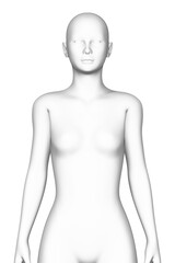 3d female human body, medical science - 760517110