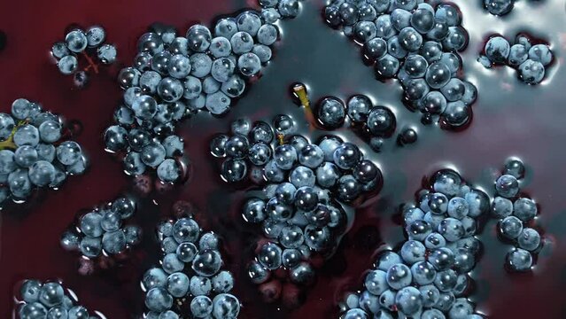 Bunches of black grapes lying in crs grape juice. Background 