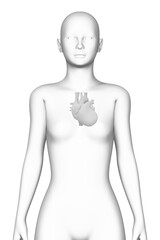 heart, female human body, organ, medical science
- 760517522