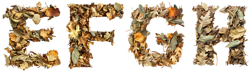  A to Z English alphabet letter design made of dried herbs and leaf's , Letter E, F, G, H