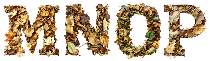  A to Z English alphabet letter design made of dried herbs and leaf's , Letter M, N, O, P - obrazy, fototapety, plakaty