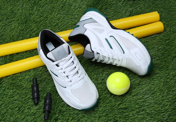 cricket shoes with rubber ball and wickets combined creative shot on the grass