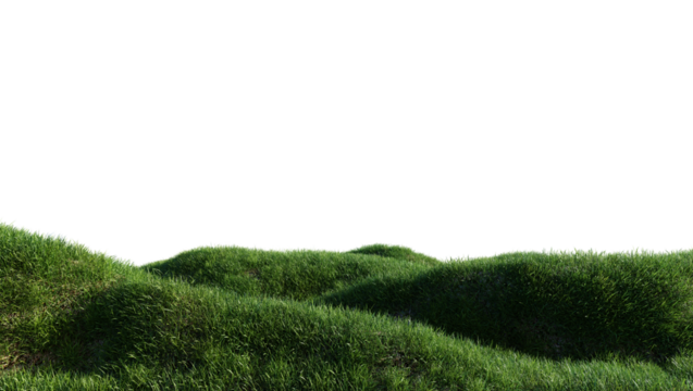 Meadow Green Grass Alpha