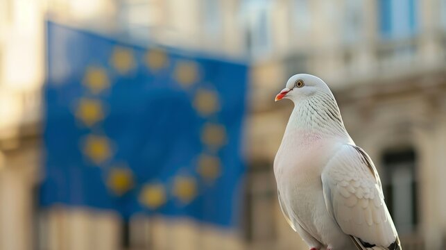 White pigeon in the foreground, the European flag in the blurred background, concept: dovish monetary policy, copy space, 16:9