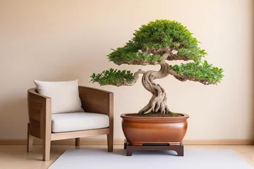 Schilderijen op glas Stylish armchair and bonsai tree in wooden pot. Interior design of modern living room with beige stucco wall with empty copy space © Giuseppe Cammino