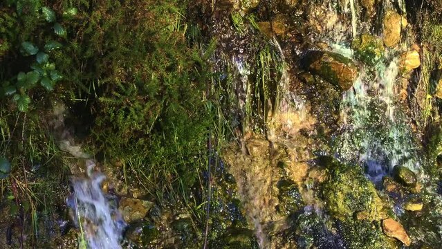 The image shows water streaming down moss-covered stones and plants.