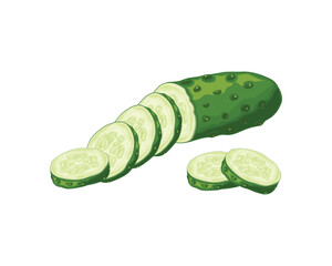 Cucumber. A ripe cucumber is green in color. Cucumber cut into pieces. Fresh vegetable garden. A vegetarian product. Vector illustration isolated on a white background