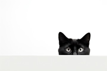 a black cat looking over a white surface