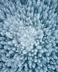 Frosty Topdown