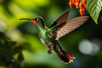 Close up portrait of hummingbird perched on flower with lush jungle background wildlife in nature