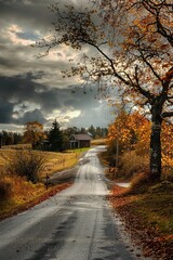 Obraz premium Fallen Leaves Covering Rural Road
