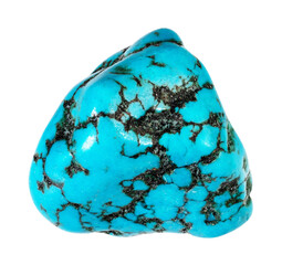 natural tumbled turquenite gem stone cutout