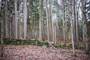 The Woodbourne Forest and Wildlife Preserve covers 648 acres just south of Montrose, Pennsylvania