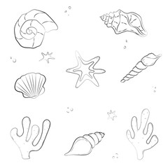 Set of marine elements on white background. Trendy picture for packaging, wallpaper, children's, clothing and stationery.