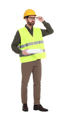 Architect in hard hat with draft on white background