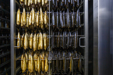 Oven for smoking fish at factory with golden mackerel inside it.