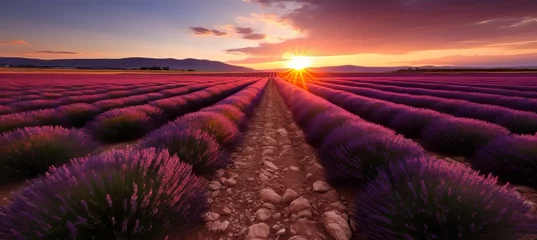 Rolgordijnen Country road winding through vibrant lavender field during picturesque summer sunset © Aliaksandra