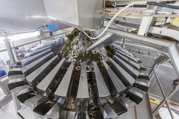 Closeup view of seaweed packaging system.