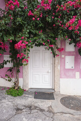 Fototapeta na wymiar View of old house with white door, pink wall and decorativer plant with flowers in Lisobon