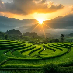 Fotobehang Terraced rice fields in the mountains. views of plants and views of the sun in the morning  © muhammad