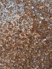 texture of old rusty metal plate