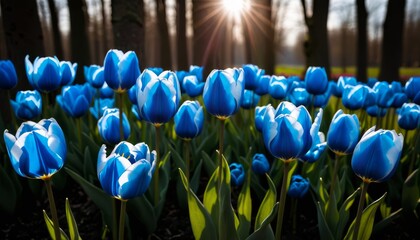 AI generated photo of blue Tulips