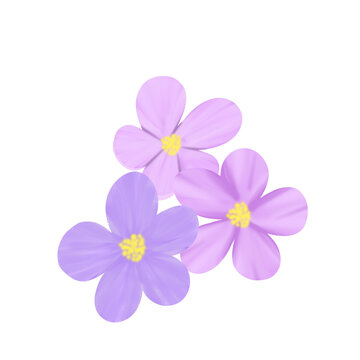 Watercolor flower illustration