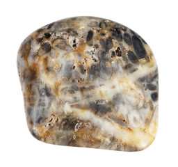 natural tumbled oncolite mineral cutout